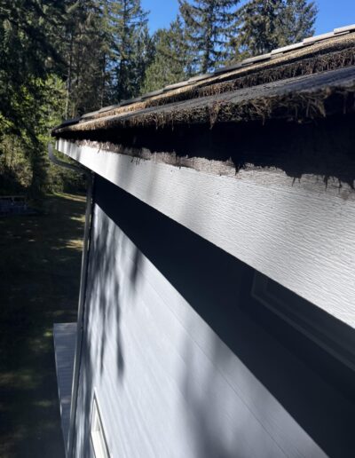 Roofing Replacement & Installation Services in Spanaway, WA